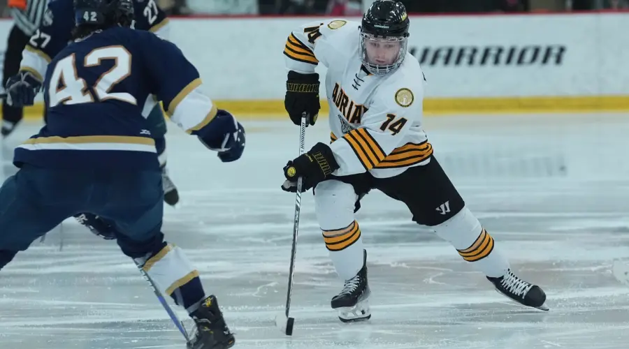 Adrian hockey standout Rehding answers when opportunity knocks