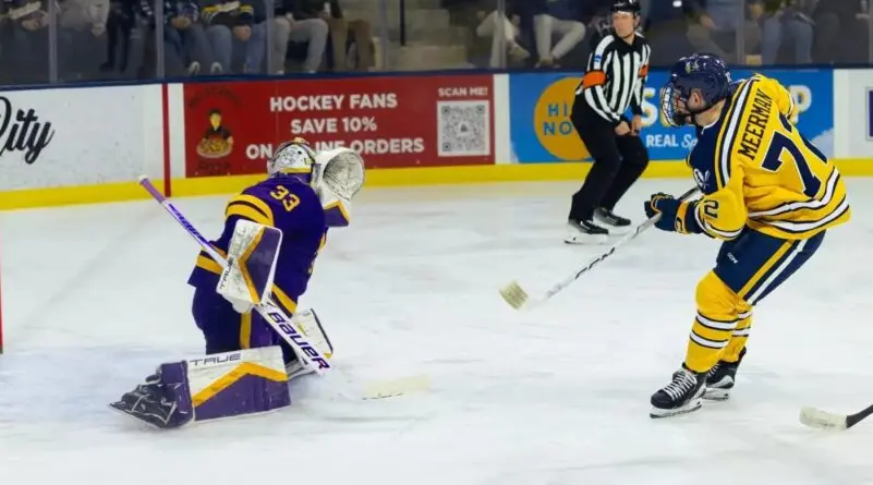 FRIDAY COLLEGE HOCKEY ROUNDUP: Augustana scores three unanswered goals ...